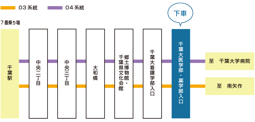 バスで千葉大学医学部へ